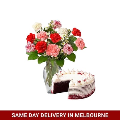 Mixed Carnations With Red Velvet