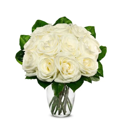 Buy Glorify White Roses Bouquet