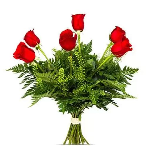 Buy Red Roses Surprise