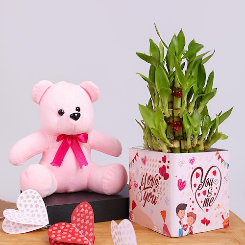 Buy Adorable Teddy With Bamboo Combo