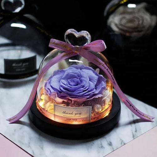 Buy Purple Rose In Dome