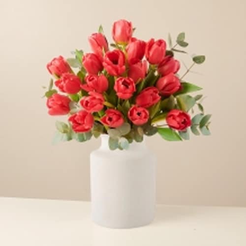 Buy Bouquet Of Tulips