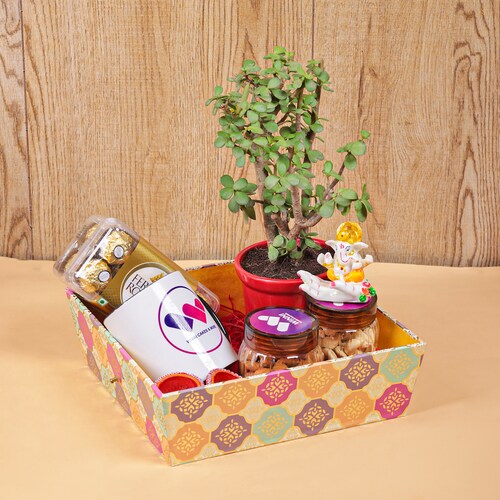 Buy Green Serenity Personalized Diwali Hamper