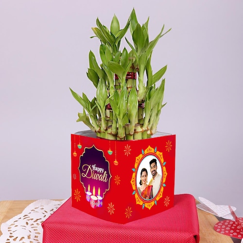 Buy Diwali Wishes Personalized Lucky Bamboo