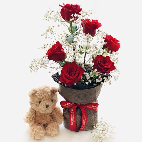 Buy Red Rose Delight With Teddy Bear Surprise
