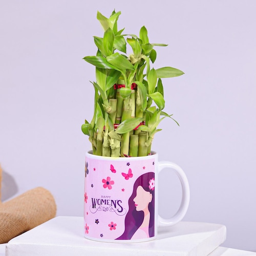 83155_Womens Day Special Lucky Bamboo Plant