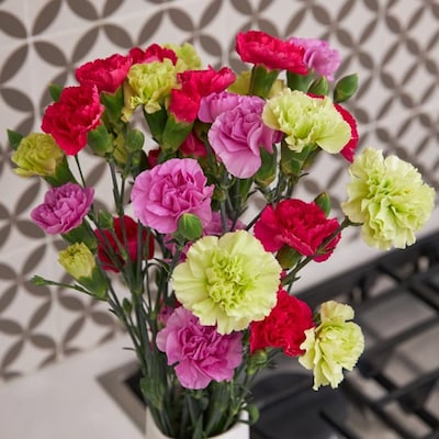 83604_Adorable Mixed Carnations Flowers