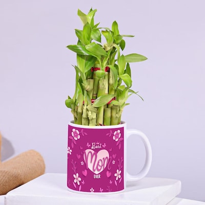84030_null