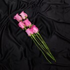 6 Pink Flower