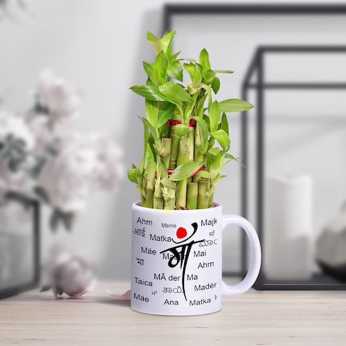84261_Special Maa Mug With Bamboo Plant