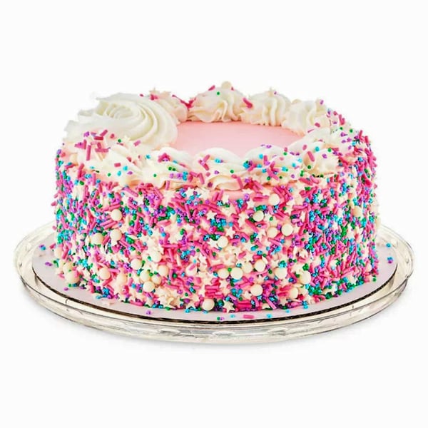 Freshness Guaranteed Color Blast Cake | Winni