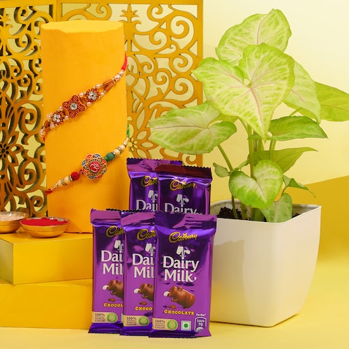 Buy Set Of 2 Rakhi With Syngonium Plant and 5 Dairy Milk