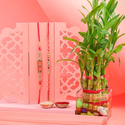 Two Layer Bamboo Plant With 2 Designer Rakhi combo