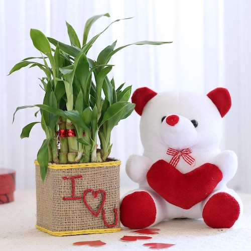 Buy Two Layers Lucky Bamboo Love with Teddy Bear