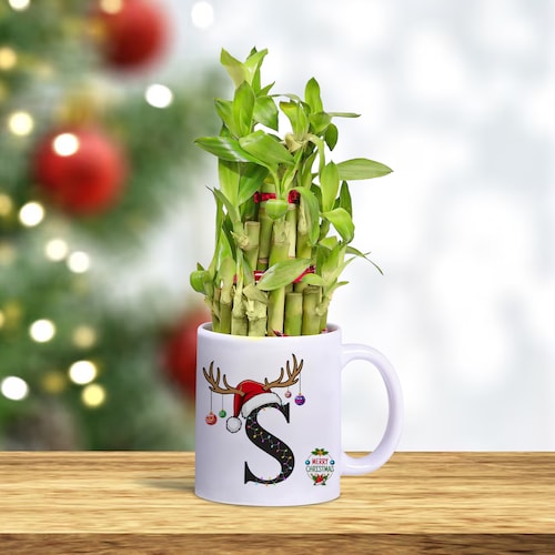 Buy Personalised Bamboo Xmas Blessings Mug