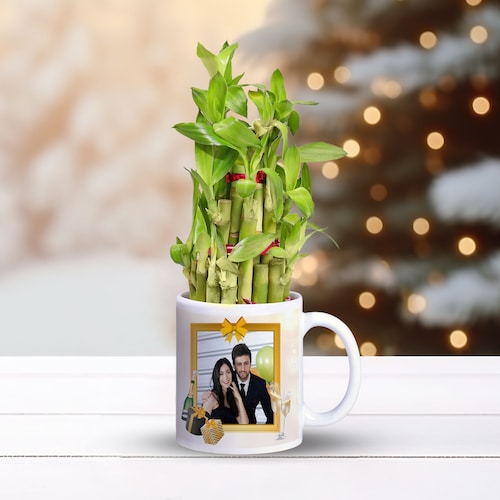 Buy Bright Lucky Bamboo in Personalised Mug