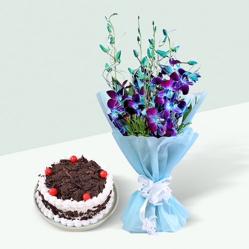 Buy Delightful Orchids and Black Forest Cake Combo