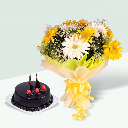 Buy Elegant Gerberas and Truffle Cake Combo