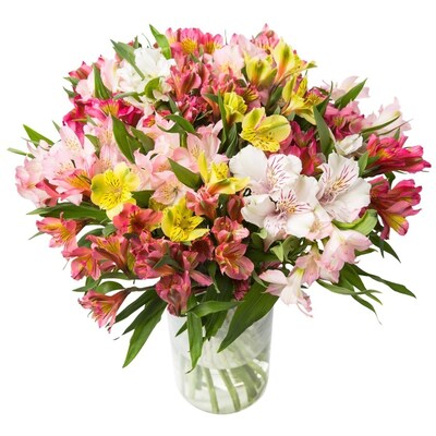 Shining Bouquet of Mixed Alstromeria