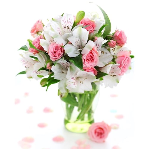 Buy Aesthetic Roses with Alstromeria