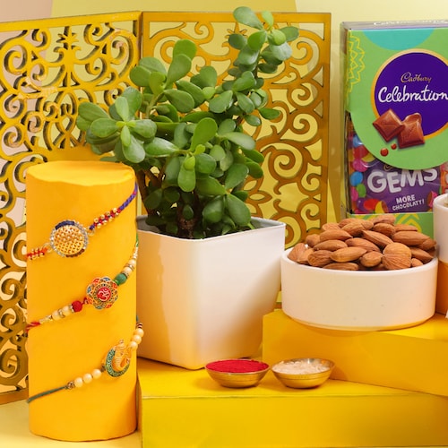 Buy Set Of 3 Rakhi With Jade Plant Sweets and Dry Fruits