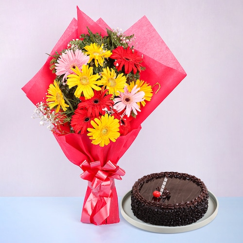 Buy Classic Gerberas with Chocolate Cake