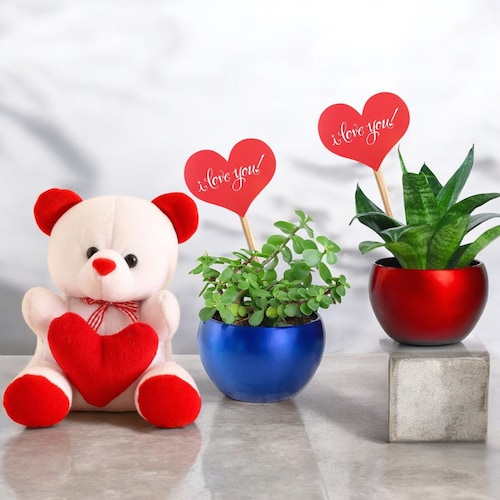 Buy Valentine Day Special Jade and Snake Plant Combo