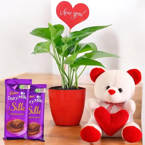 Buy Valentines Golden Money Plant Surprise Combo