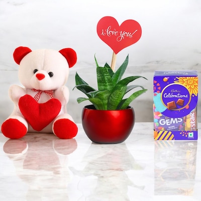 Valentine Joyful Sansevieria Plant and Teddy