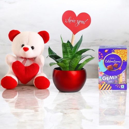 Buy Valentine Joyful Sansevieria Plant and Teddy