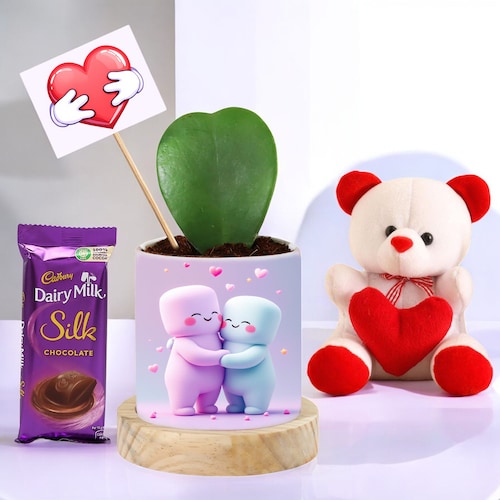 Buy Valentines Hoya Plant and Teddy Set