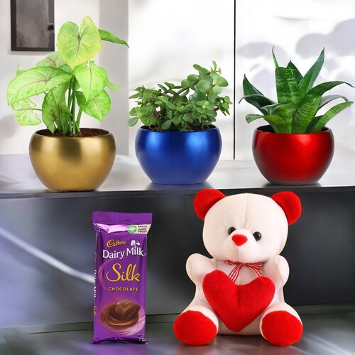 Buy Cheerful Valentine Trio Plants with Teddy and Chocolates