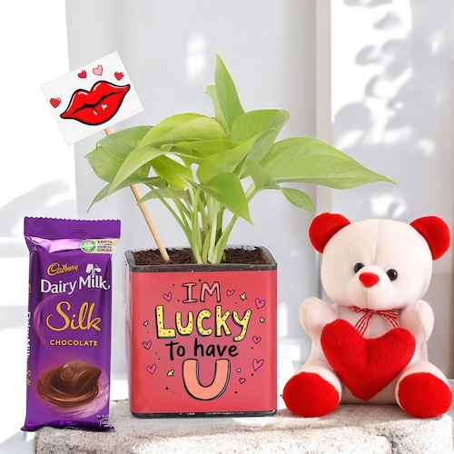 Buy Lucky To Have You Valentines Money Plant Combo