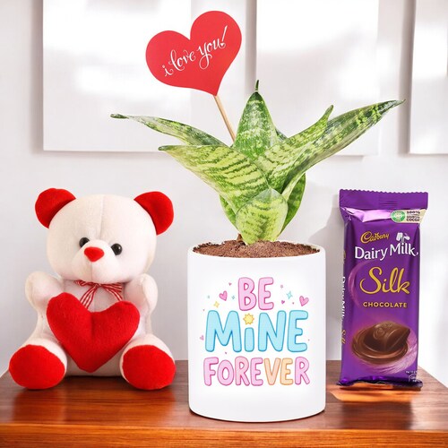 Buy Valentine Day Be Mine Snake Plant Chocolate with Heart Tag