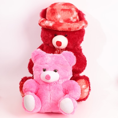 Sweet Valentines Day Teddy Duo