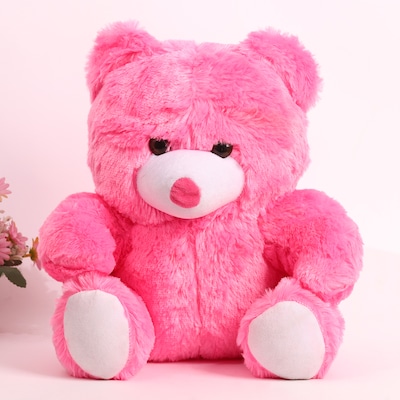 Loveable Valentine Teddy Surprise