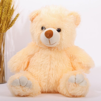 Cuddly Teddy Bear Valentine Gift