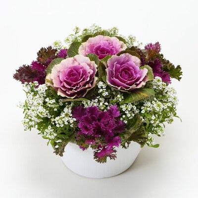 Leaf Peony Garden Bouquet
