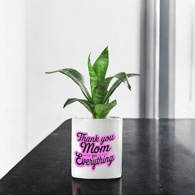 Thank You Mom Sansaveria Plant