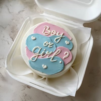 Boy or Girl Mini Surprise Cake