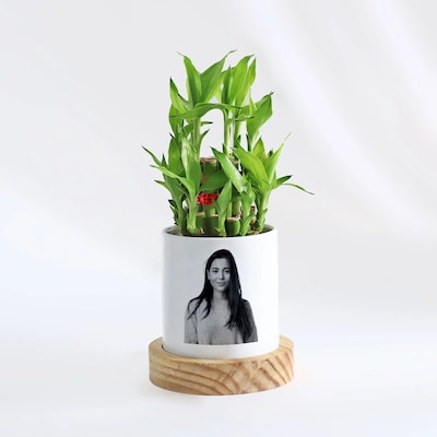 Personalised Two Layer Lucky Bamboo Plant