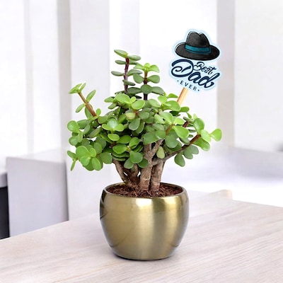 Best Dad Ever Lucky Jade Plant