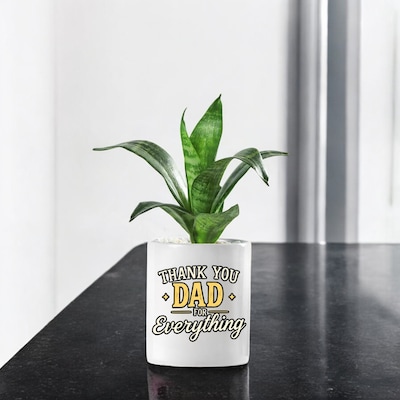 Sansaveria Plant With Dad for Everything Pot