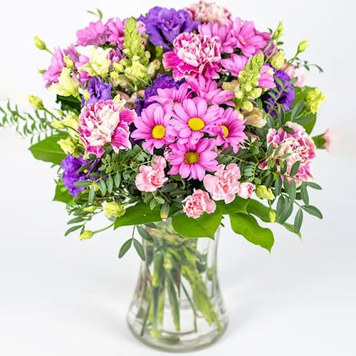 Buy Just Lovely Pink and Purple