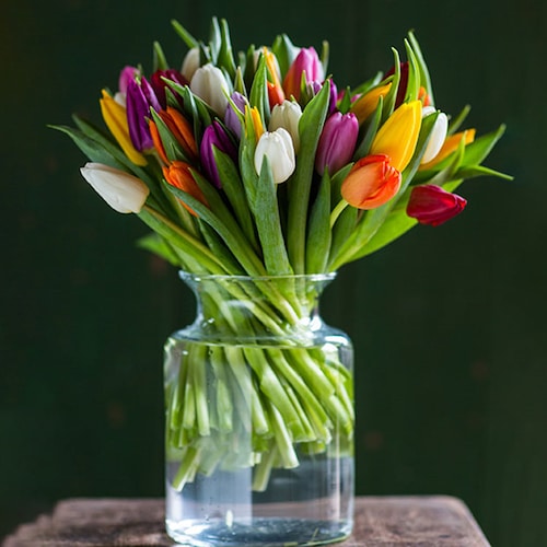 Buy Lovable Mixed Tulips