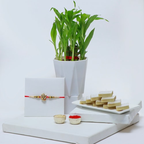 Buy Rakhi with Kaju Katli and Lucky Bamboo