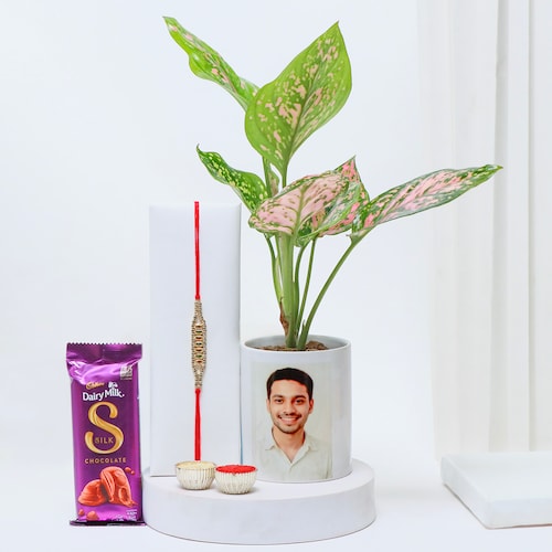 Buy Personalized Aglaonema Plant with Chocolate and Rakhi