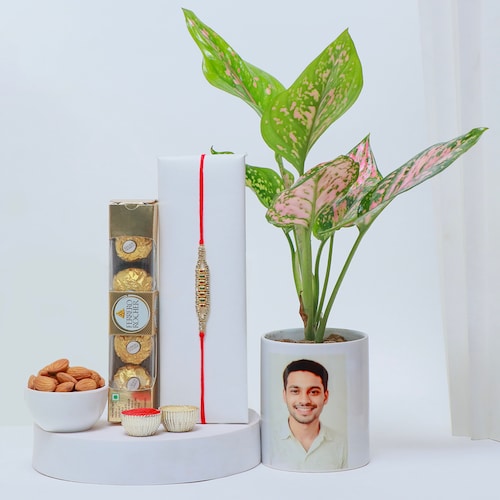 Buy Designer Rakhi with Personalized Plant Pack