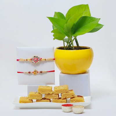 Set of 2 Rakhi with Soan Papdi