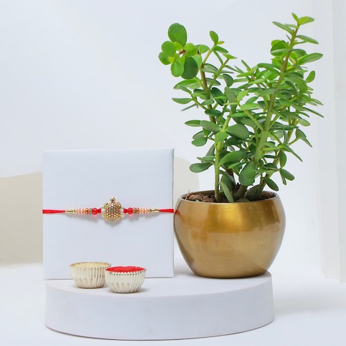 Buy Metal Jade with Rakhi Combo